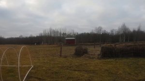 УПРАВЛЯЮСЬ НА ХУТОРЕ БЕЗ ЖЕНЫ.