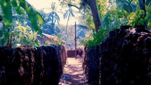 Экскурсия по Гокарне. Авторские туры по Индии. Никита Машкин