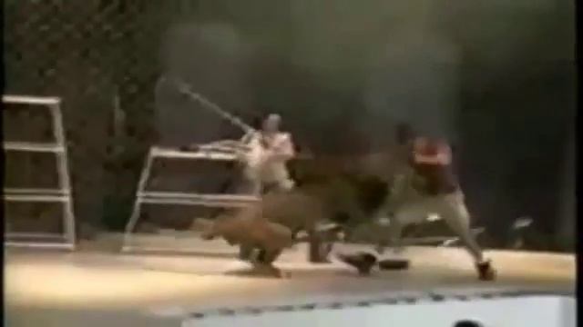 Львы нападают на людей Lions attack humans смотреть онлайн