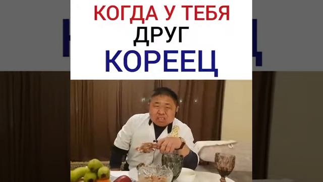 Собаки корейцов они едят собак 🤣😂