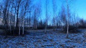 ЧТО-ТО ВАЖНОЕ И НЕ ТОЛЬКО.