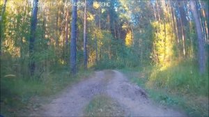 =гепард= лето 2016