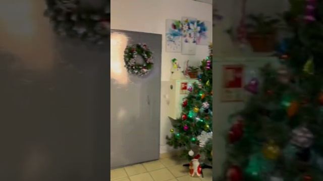 С НОВЫМ 2025 годом!