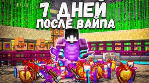 7 БЕЗУМНЫХ ДНЕЙ РАЗВИТИЯ ПОСЛЕ ВАЙПА