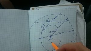 Размещение пасеки у водоема. Минусы.