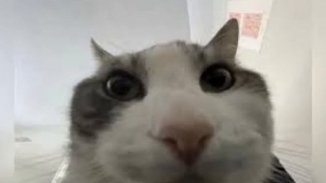 I Tried SHERIFF ONLY for 7 Days.. смотреть онлайн