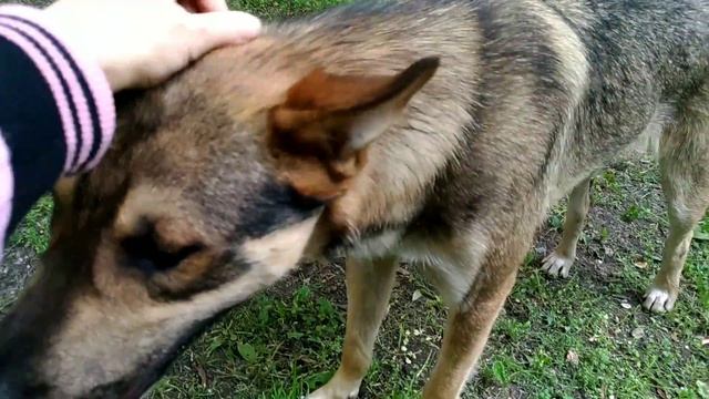 26 июля 2017 г.(20) смотреть онлайн