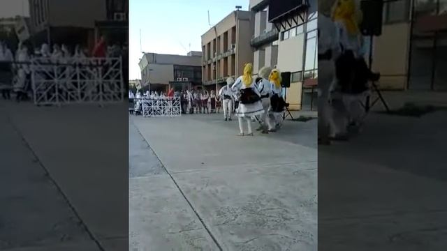 dom kulture Bor foklor 2017. смотреть онлайн