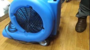 Сушилка-фен для ковров Н6802