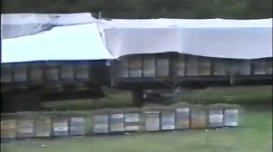 Первый наш фильм 1999г Альпийский улей