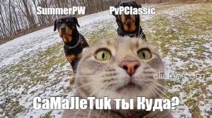 Небольшой обзор на сервер latestpw от СaMaJleTuk