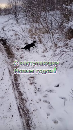 Новогодняя (Савичева Юлия).mp4