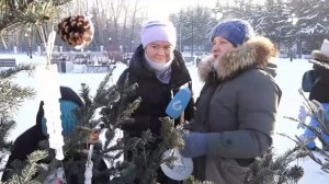 (20.12.2024) Предприятия и организации Комсомольска украсили ели на площади Юности