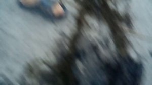 Поисковый магнит находки