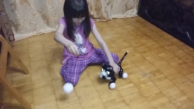 Zoomer Kitty video obzor