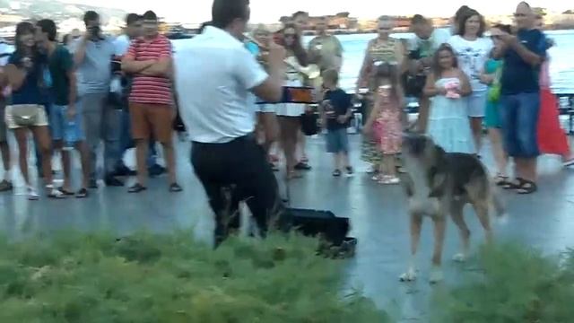 Концерт на набережной в Ялте)) смотреть онлайн