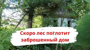 Скоро лес поглотит заброшенный дом | Татарстан, Зеленодольский р/н, п.Раифский