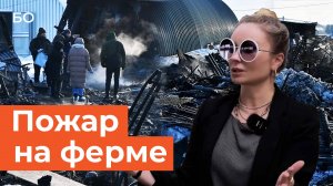 Мигранты сгорели на ферме дочери экс-главы минсельхоза Удмуртии в Елабуге