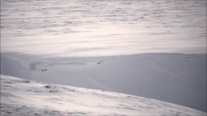 Wardruna - Isa