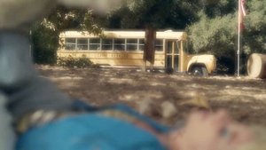 Brooke Thompson | I'm Still Here (Sia)