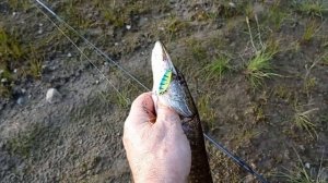 ультралайт и микроколебалки