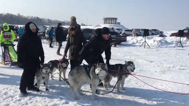 Амурская Метель 2018 на Заимке в Хабаровске смотреть онлайн