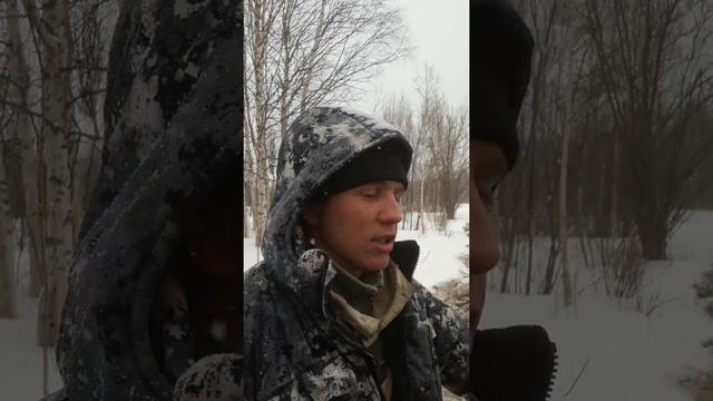 Боря моисеев отдыхает