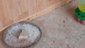 02.01.19. Пять минут у Артура.