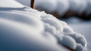 Удивительные истории - Искуситель....
