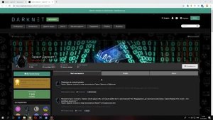 Обзор гаранта DARKNET