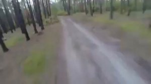 Велосипедист уесжает от медведя