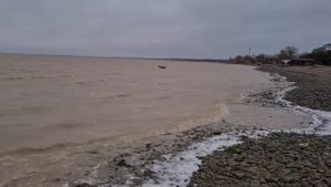 ЕйскРемонт у Тани, в квартире 70х. Наливной пол на Лиманской. Лиман зимой. Наши цыплята,третий день
