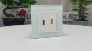 Розетка двойная USB LIVOLO белая, VL-C792USB-11