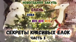 МОИ НОВОГОДНИЕ ПОКУПКИ: из Ашан, Твой Дом, Фамилия, Детский Мир, с Озон и Авито  🎄 НОВЫЙ ГОД 2025