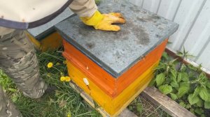 ПРАВИЛЬНОЕ РАСШИРЕНИЕ СЕМЕЙ