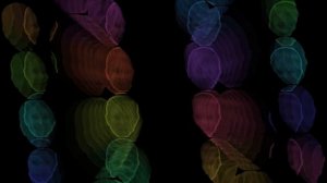 Вирусное видео от Супер Левы - Bassjackers feat. Mat B. - Destiny