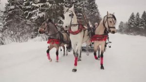 ОЧЕНЬ ЗАЖИГАТЕЛЬНАЯ  НОВОГОДНЯЯ ПЕСНЯ! Ольга Рыбникова  "ЗИМА" ( сл. и муз. Сергей Косточко)