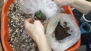 Грунт для кактусов,как я его составила.