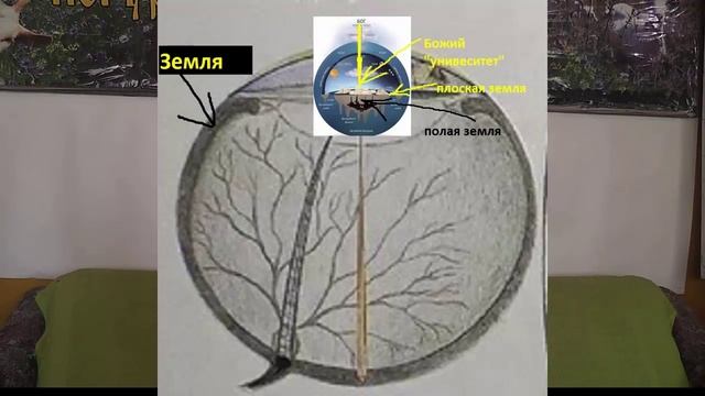 Форма земли/ Я- тварь дрожащая?/ Комплексная профилактика/ смотреть онлайн