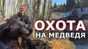 Удачная охота. ДВА МЕДВЕДЯ И ЛОСЬ. Охота с лайками на медведя 2024