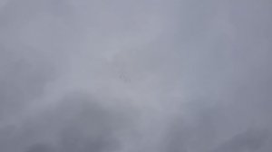 12.11.18. 9.00 Холодно и сыро но голуби в небе.