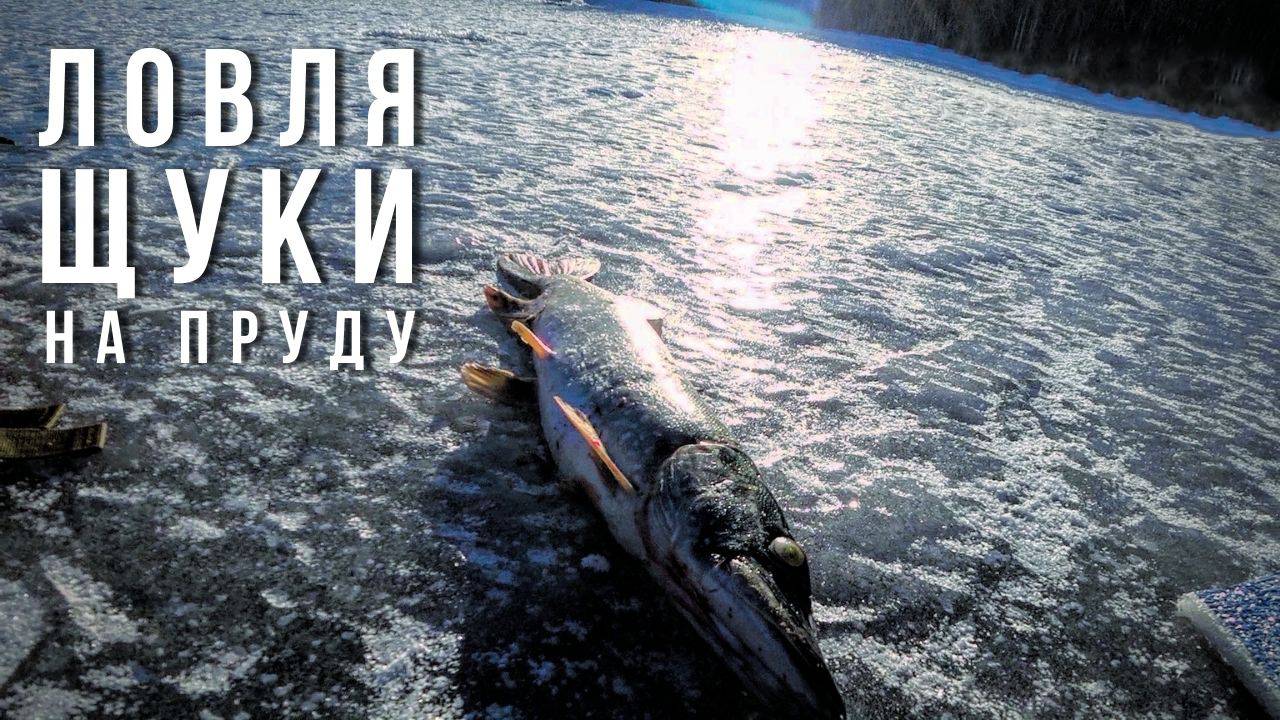 ЖЕРЛИЦЫ В ДЕКАБРЕ! ЛОВЛЯ ЩУКИ РЫБАЛКА НА ПРУДУ.