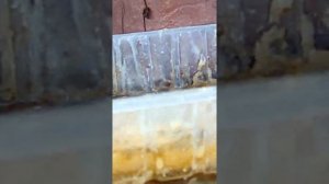 23 июня 2020 г. Для Геннадия Петрухина