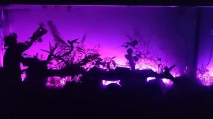 12 февраля 2024 г.