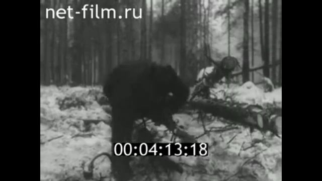 1957г. Монзенский леспромхоз. Вологодская обл