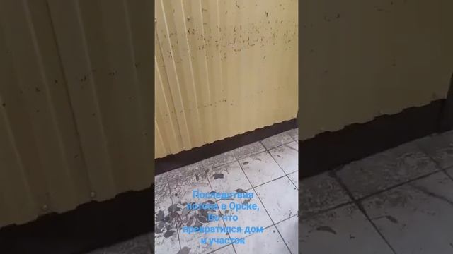 Во что превратился дом и участок потоп , Орск.