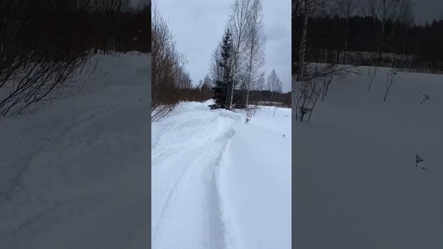 Снегоход Буран,застрял снега по пояс #снегоходбуран #русскаямеханика #снегоход#зимнийлес