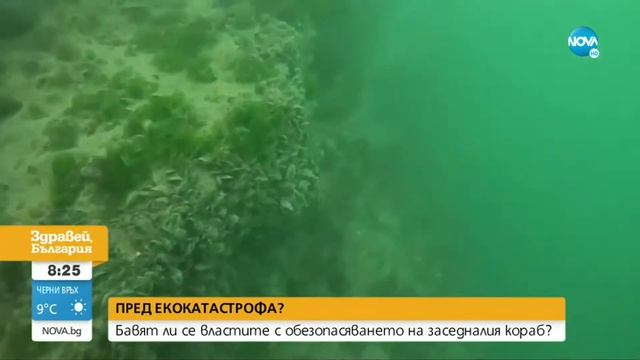 Борислав Сандов в Здравей, България по NOVA / 27.09.2021 г. смотреть онлайн