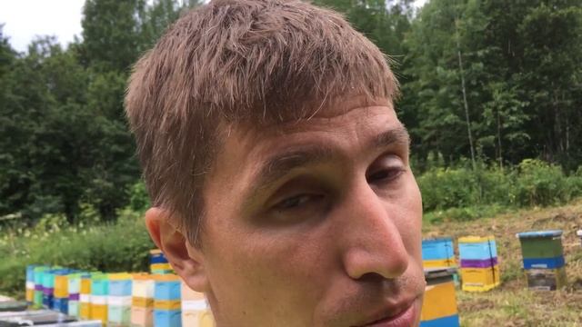 Кочёвка на липу
