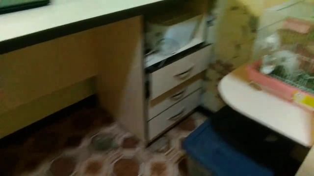 мои домашние животные ( часть 2)